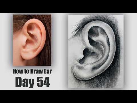 Drawing for Beginners Step by Step | Day 011 Part 1 | Basic Pencil Shading Technique Part 1
