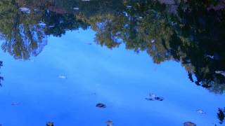 Billy Taylor - Cool and Caressing