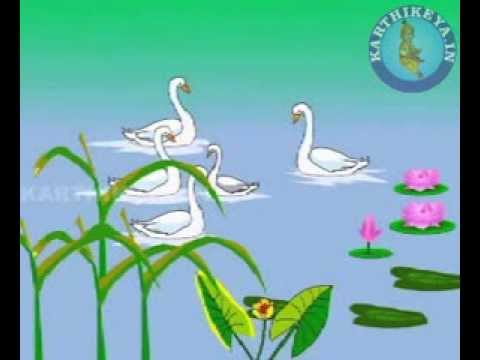 Telugu Animated Stories - Anakari Batu ( Gandhra Kathalu)