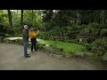 Zo kun je een Oosterse tuin aanleggen | Natuur en Zo TV