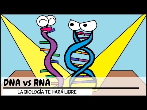 👉🏻 Biología 3 Pre San Marcos REPLICACION DEL ADN Transcripción y Traducción 😍🌿 DOGMA DE LA BIOLOGIA