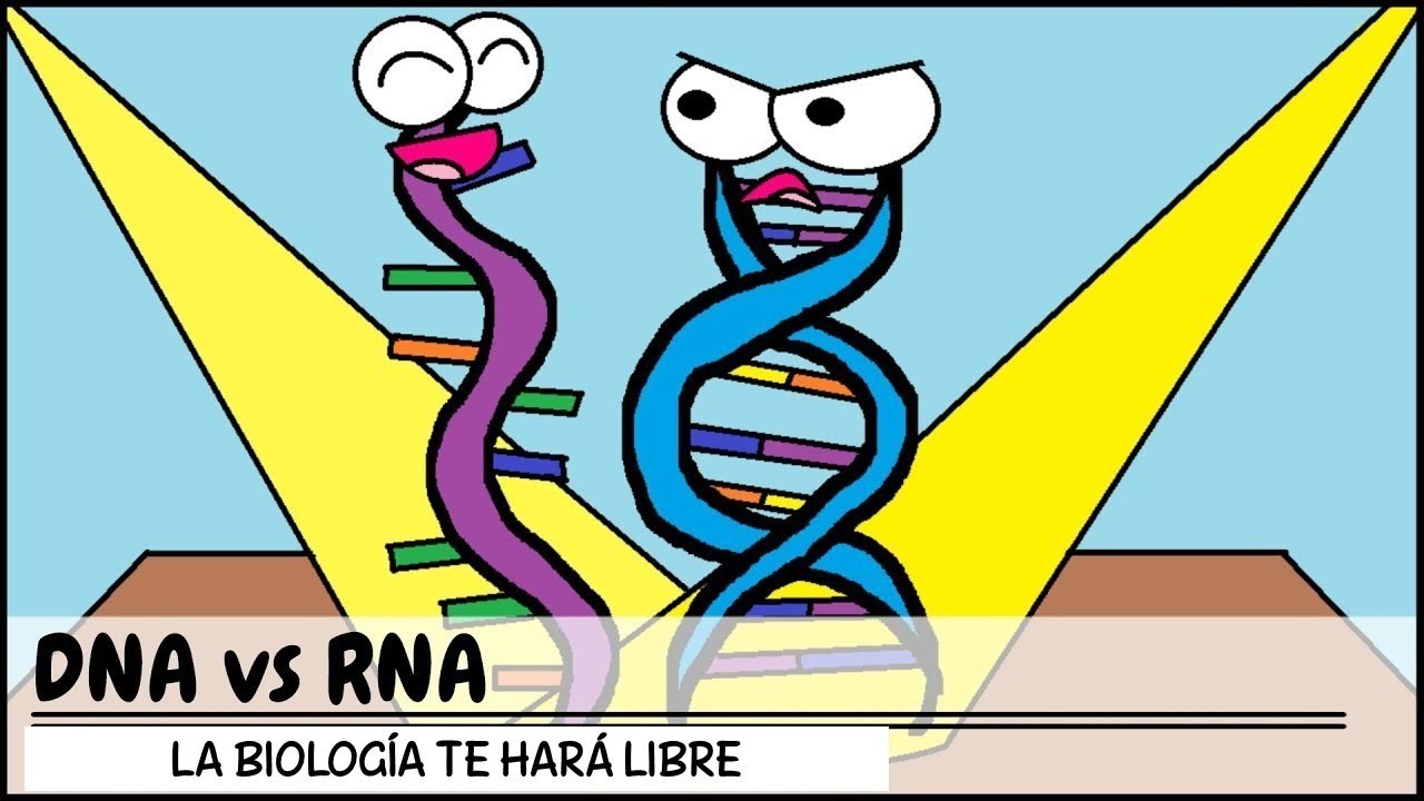 👉🏻 Biología 3 Pre San Marcos REPLICACION DEL ADN Transcripción y Traducción 😍🌿 DOGMA DE LA BIOLOGIA