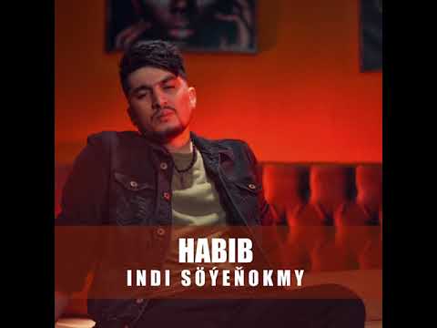 Habib - Indi Soyenokmy 2021