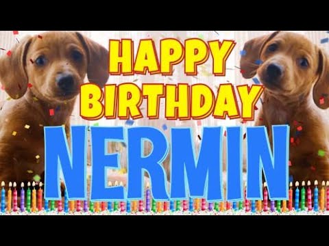 Happy Birthday Nermin! ( Funny Talking Dogs ) What Is Free On My Birthday