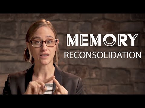 Memory Reconsolidation: How to Rewire Our Brain - Chapter 4