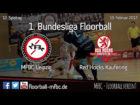 Highlights: MFBC Leipzig - Red Hocks Kaufering / 12. Spieltag 2016/2017