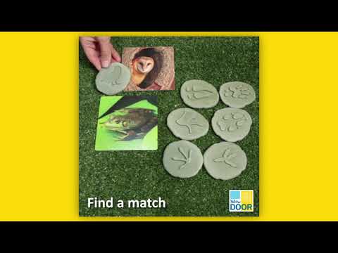 Slide 7 - Let's Investigate, Woodland Footprints, 8 Pieces (video)