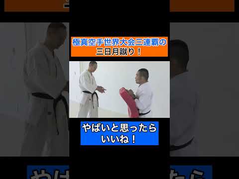 極真空手世界大会三連覇・百人組手完遂　纐纈先生の三日月蹴り！