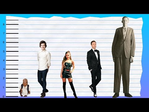 Harry Styles Height