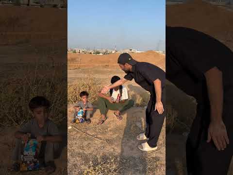 زرعت طماطه ودبشي