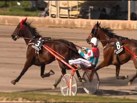 TROTTO 04/05/2016 - 6° Corsa PREMIO CITTA' METROPOLITANA DI NAPOLI