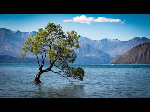 Aurora feat Lizzy Pattinson - Summer Son (F&W Dub Mix)