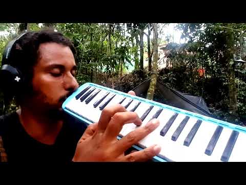 Velha Infância / Tribalistas 