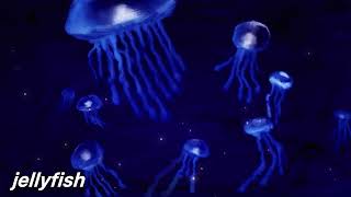 Download lagu HUH YUNJIN - jellyfish but you’re in an empty arena🎧 mp3 Download lagu HUH YUNJIN - jellyfish but you’re in an empty arena🎧 mp3