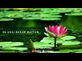 Chandhiranai Thottathu Yaar ARR Whatsapp Love Status Sk Creation