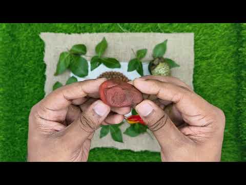 Emphasizing Shiva's Mahadev Shiva Shila for Peaceful Life video