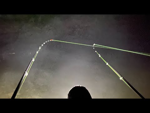 Pecanje Deverike LOPATE na Feeder - NOCNI RIBOLOV