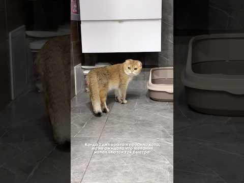 Первое свидание Карамельки💕