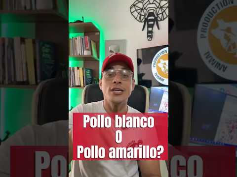 Ventajas y desventajas del pollo de engorde amarillo o blanco 🤝 #pollosdeengorde #pollos