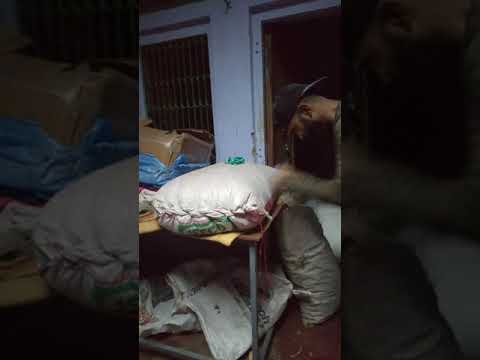 Most punch strikes in 1 minutes..498 Punch in one minute