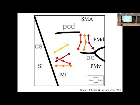 Propagating motor cortical patterns encode movement initiation and execution