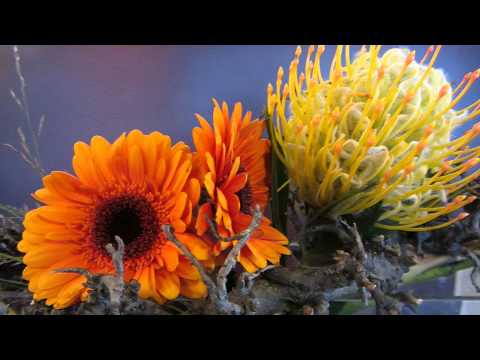 Opwekking 223 Jezus uw Naam zij de Hoogste Eer !