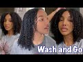 Updated WASH AND GO Routine on 3c4a hair + how I diffuse and stretch my hair