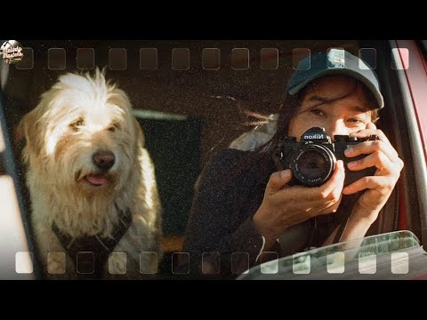 playlist for that one perfect summer day