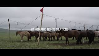 All the Wild Horses - Trailer