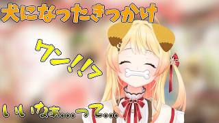 犬になったきっかけを語る音乃瀬奏【ホロライブ/切り抜き/音乃瀬奏】