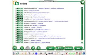 Action 11 Memory Vocabulary