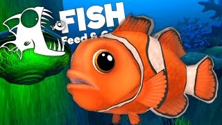Ocean's Largest Clownfish! - Feed and Grow: Fish Gameplay