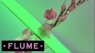 Flume Ft. Kai - Never Be Like You - Wave Racer Remix
