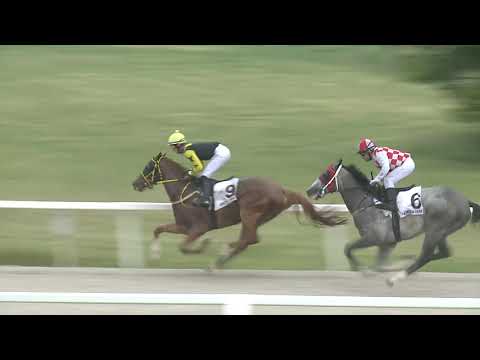 2021.05.23. 04. futam - NYERETLENEK VERSENYE (V.kat.) II. rész (szintetikus pálya)