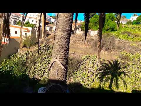 On the way to the Spar supermarket in Alajero (La Gomera) // Vlog
