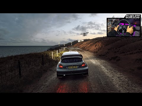 DiRT Rally 2.0 - Peugeot 206 WRC | New Zealand Rally Stage