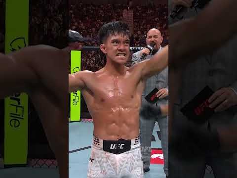 UFC video artwork