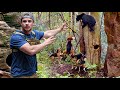 This Was Almost A DISASTER Bear Hunting With Hounds