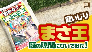 草取りが面倒臭い？そんな時は 固まる土 まさ王です！