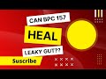 Can BPC 157 help heal Leaky gut
