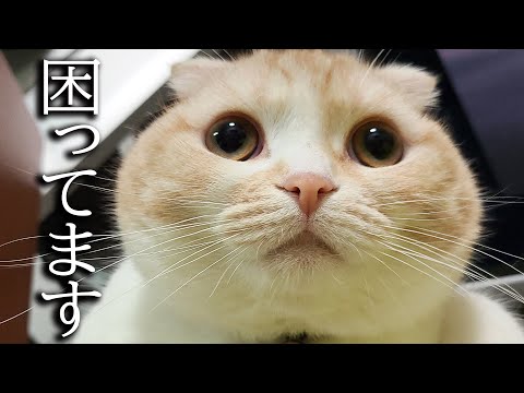 生活ができなくなりました...