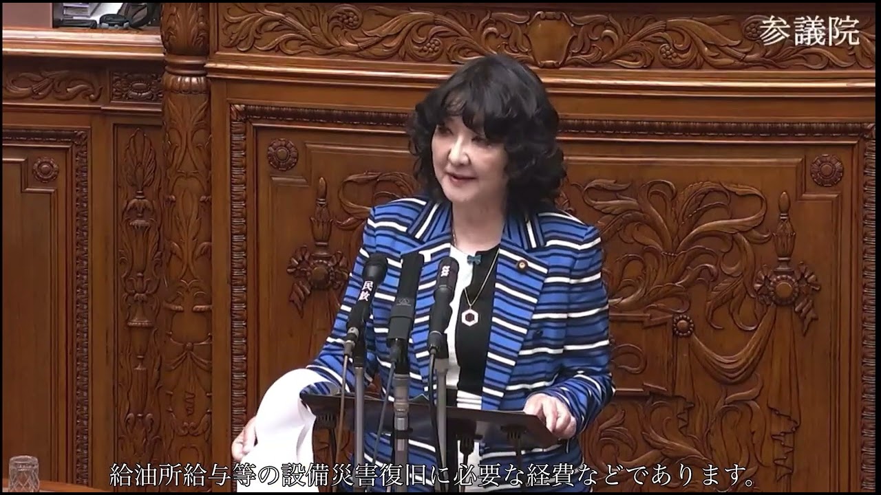 参議院本会議（2025年5月28日）