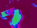 DOOMSDAY KLASKY CSUPO ROBOT 2007S FAST SLOW