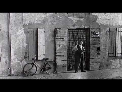 Polesine    Delta del Po