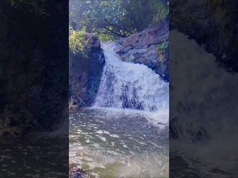 Un día en el un Chorro en Pese, Provincia de Herrera, Panamá