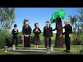 Robot Chicken Funeral Dad Jokes
