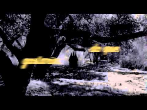 video thumnail
