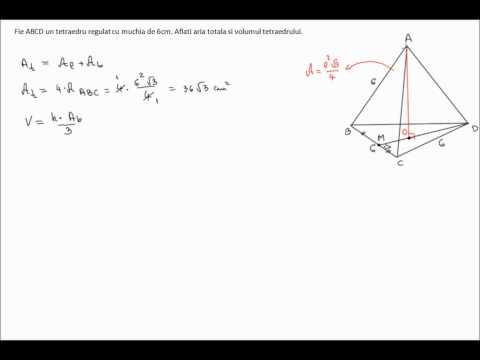 Probleme rezolvate - tetraedru regulat (8g33)