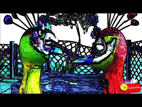 "El Pavo y La Pava"  x  "La Vaca Lechera" Mezcla de Canciones  |  Efectos Visuales y Sonoros