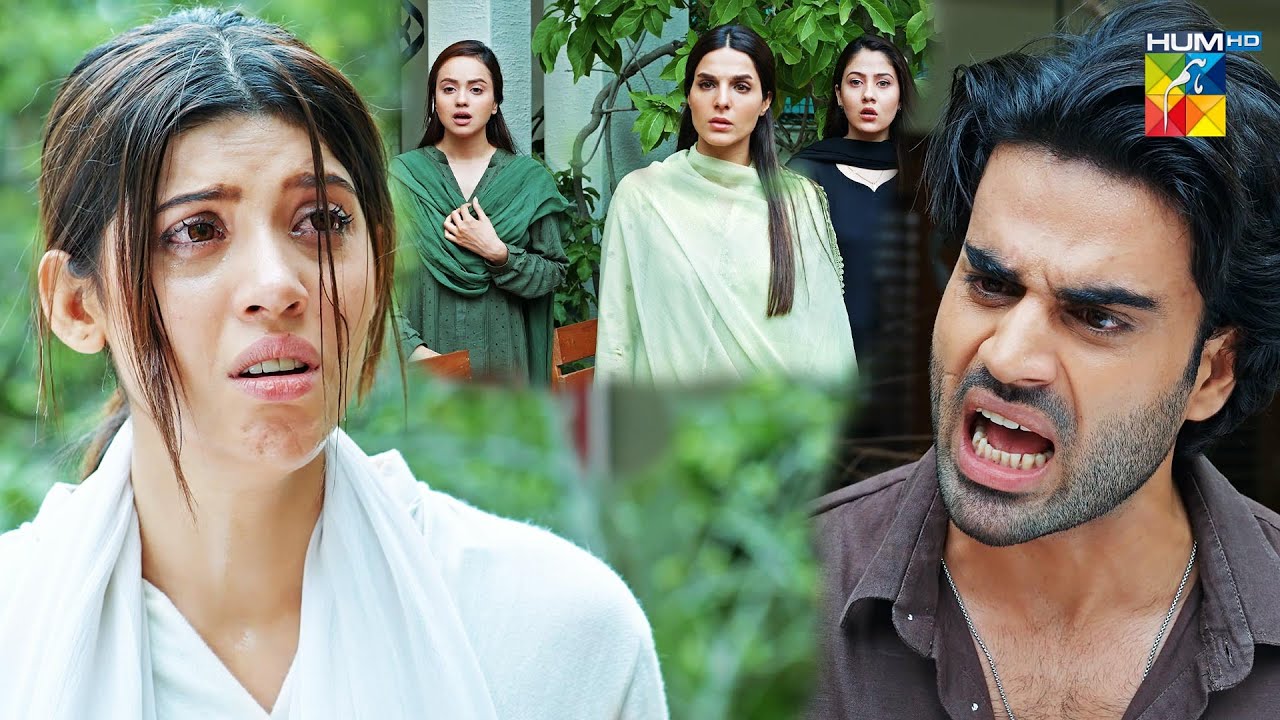The Truth Finally Revealed 😱 | Most Awaited Scene -Nobody Expected This Ending #meribahuain - HUM TV